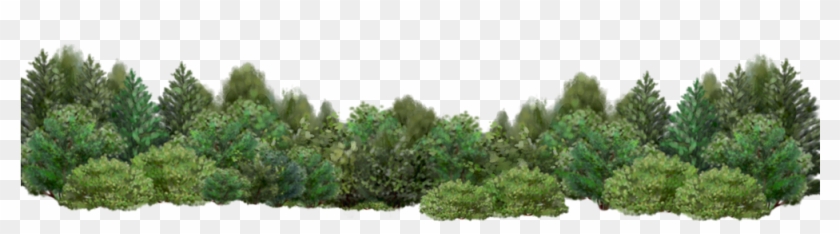 Go To Image - Background Trees Photoshop Clipart #355802
