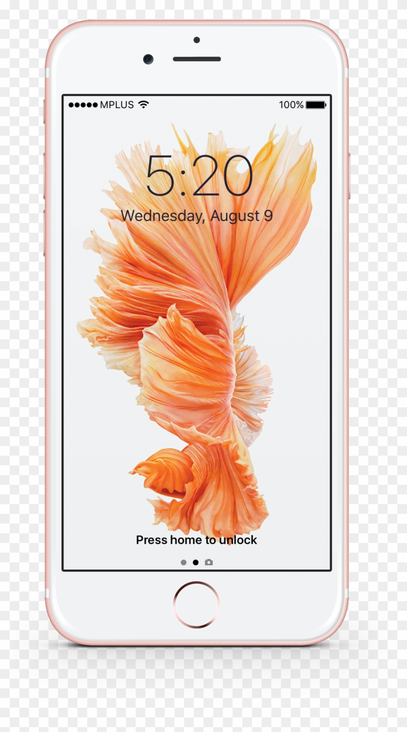 Iphone 6s Lcd Replacement Iphone Plus Battery Replacement - Iphone 7 Hd Original Wallpaper Fish Clipart