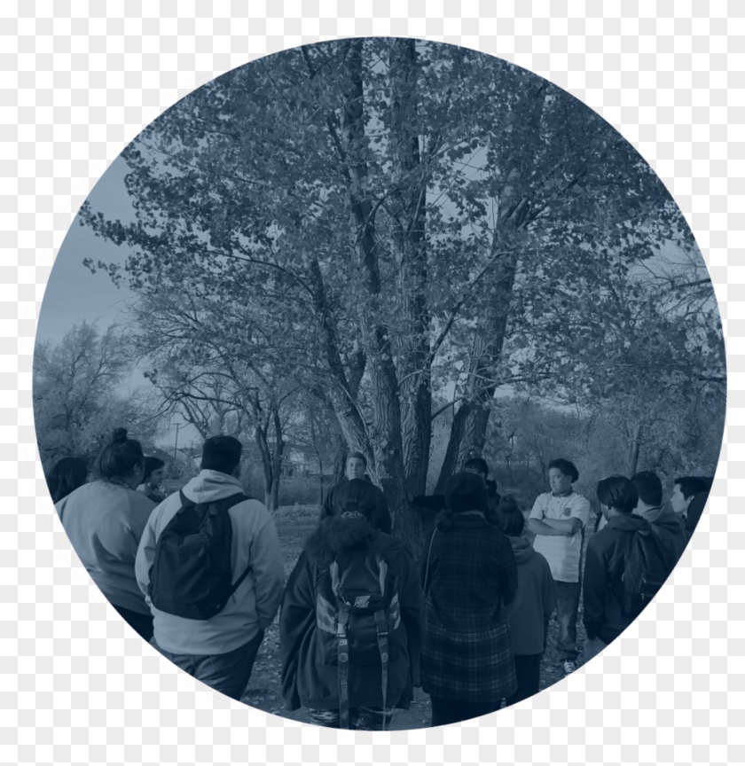 Observe - Group - Blue - Circle Clipart