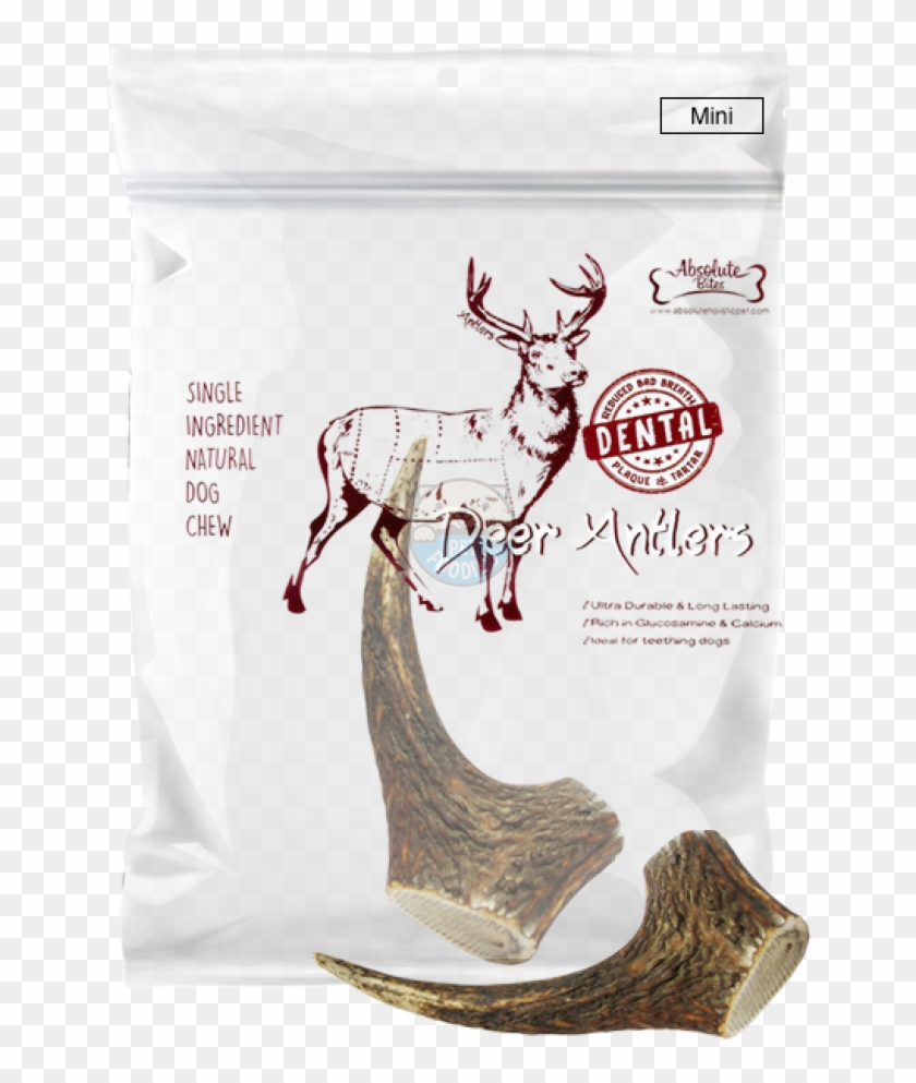 Uploads/3hpdy5tdvbct - Deer Clipart