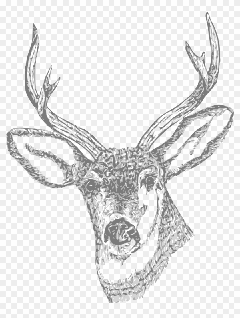 Deer Pencil Curtain Free - Deer Skull Tattoo Design Clipart