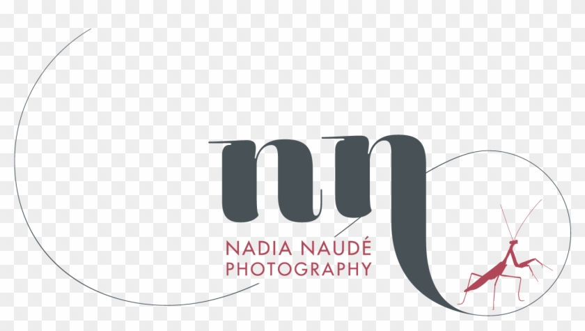 Nadia Naudé Photography - Nn Photography Logo Png Clipart