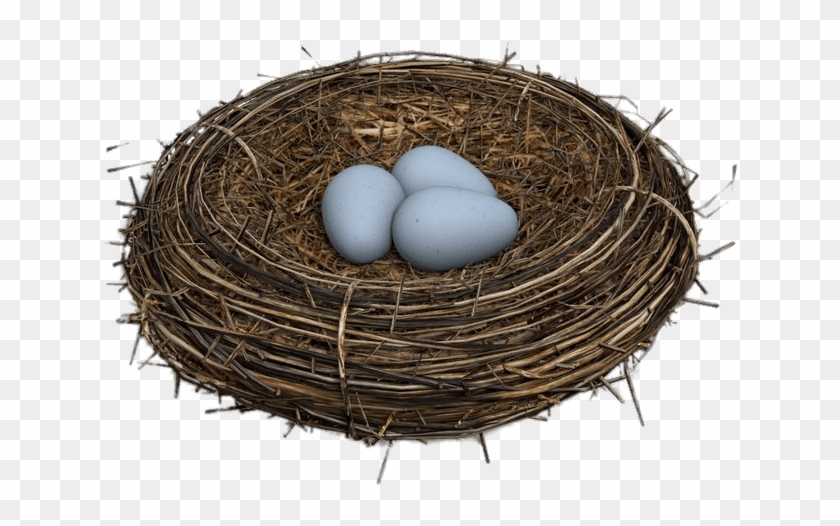 Download - Bird's Nest Transparent Png Clipart #357075