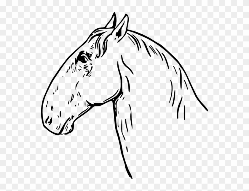 Horse Head To Use Resource Hd Image - Horse Headed Clipart