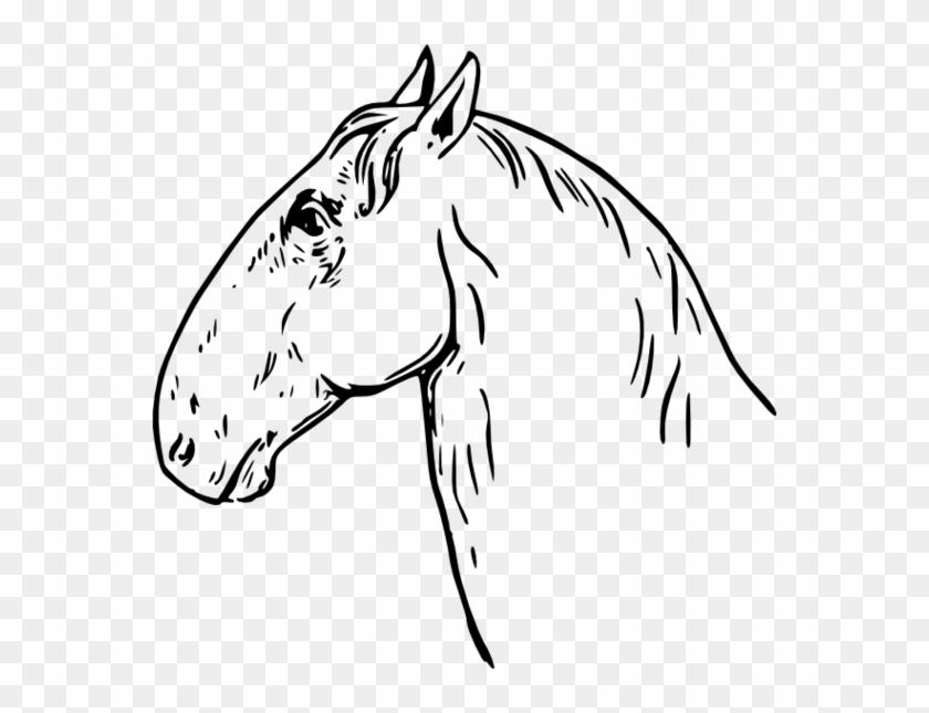 Horse Head To Use Resource Hd Image - Horse Headed Clipart #357750