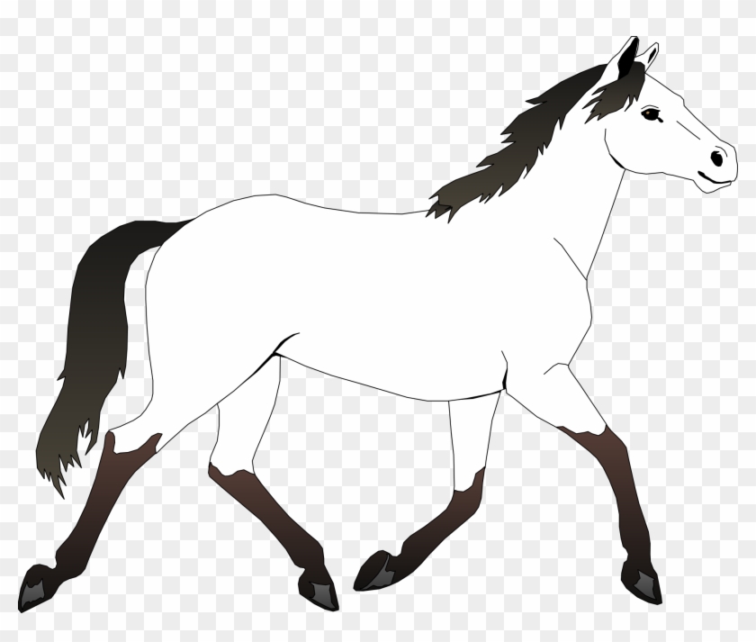 Graphic Transparent Stock Horse Head Clipart - Mustang Horse Coloring Page - Png Download