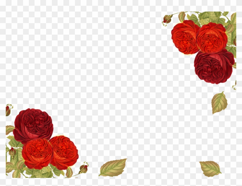 Post Navigation - Garden Roses Clipart #358034