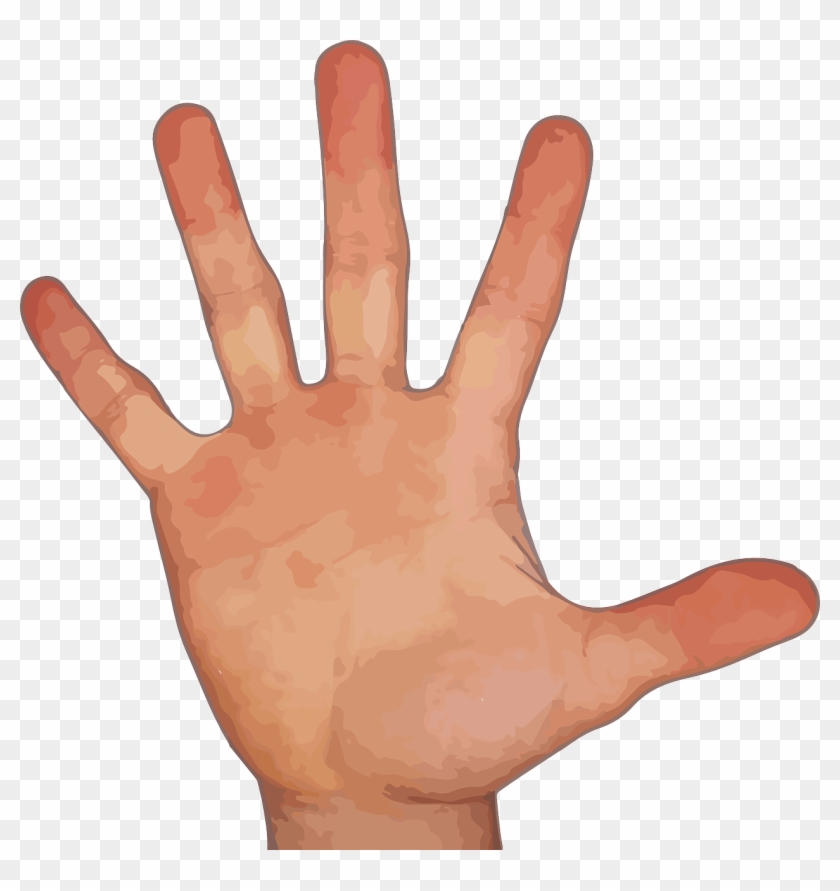 Finger - Hand With 5 Fingers Clipart