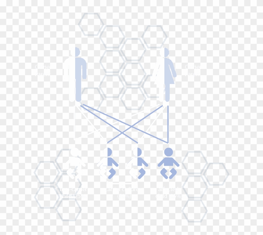 Carrier Status Infographic - Wickelraum Clipart