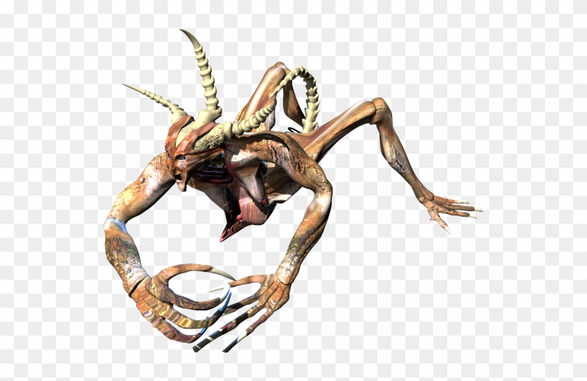 Diablo Ii Render - Vile Mother Diablo 2 Clipart #3500630