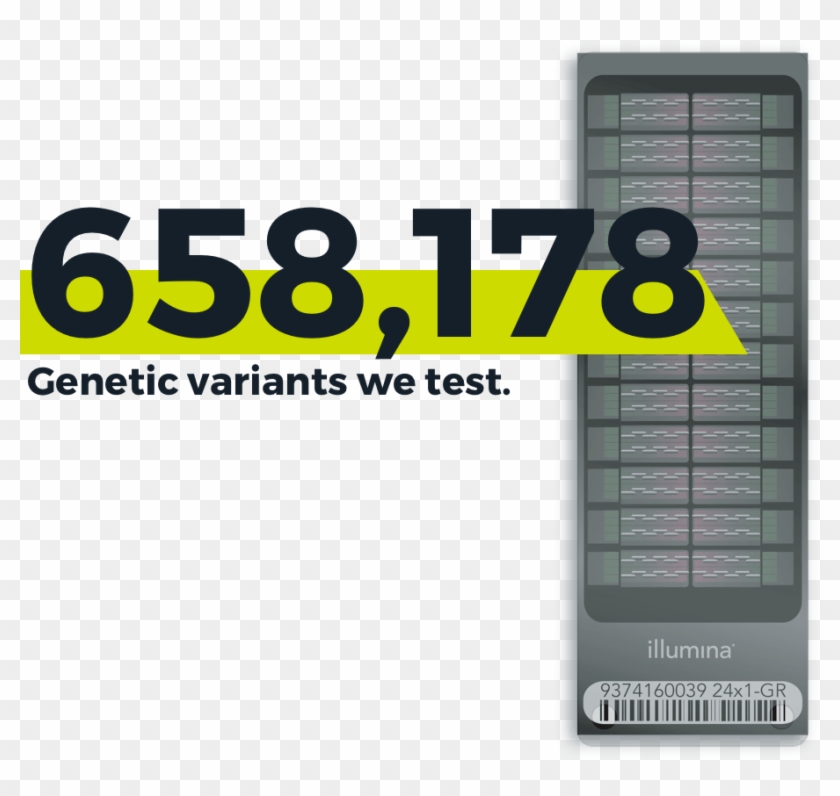 Dna Analysis - Multimedia Software Clipart #3500648