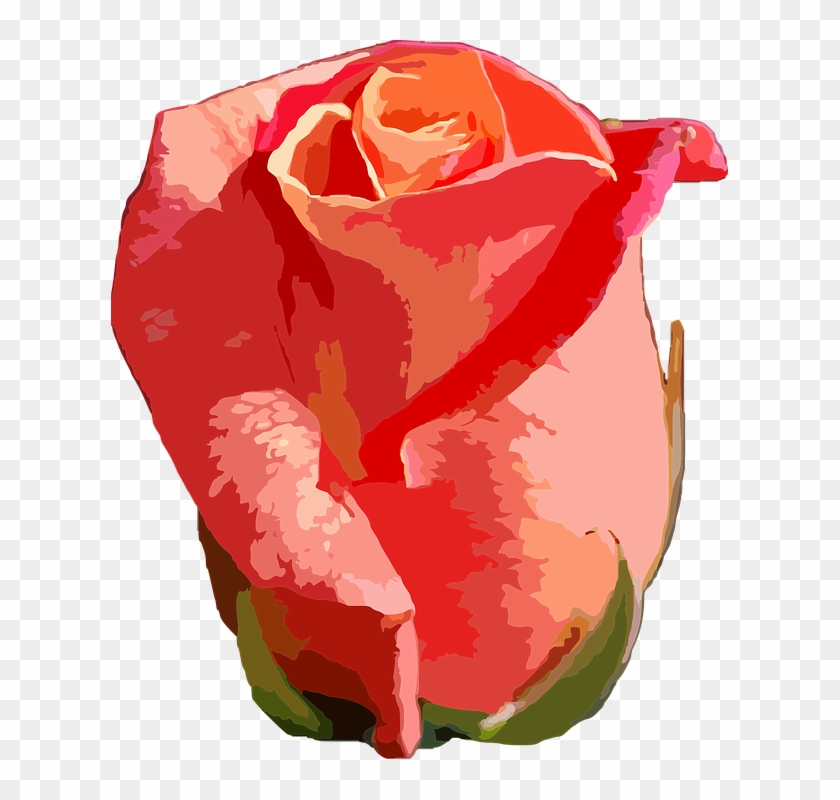 Flower Floral Botanical Plant Nature Botany - Botany Clipart #3500698