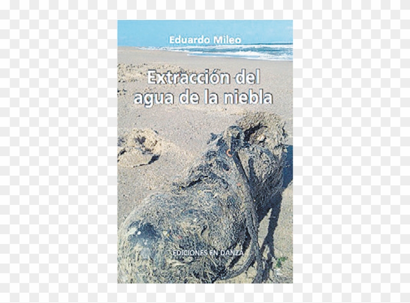 Extracción Del Agua De La Niebla Eduardo Mileo Ediciones - Marine Iguana Clipart #3500923