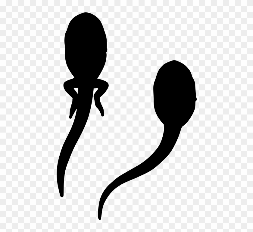 Line Silhouette Free Frame Clipart - Silhouette - Png Download #3501916