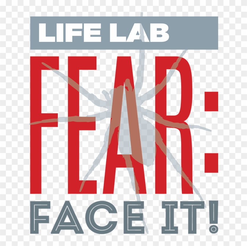 Thm Llfear Spider 090116trans - Graphic Design Clipart #3503424