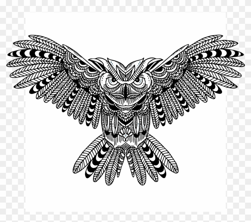 Owl Clipart