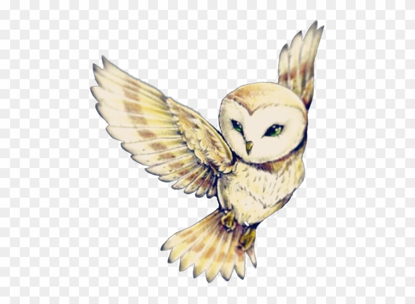 Cute Owl Flying~ - Owl Tattoo Designs Clipart #3504453