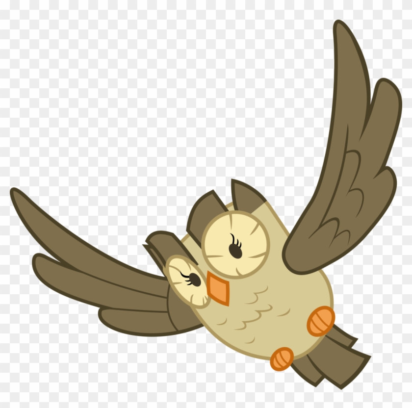 Cooltomorrowkid, Bird, Flying, Owl, Owlowiscious, Pet, - Cartoon Clipart #3504994