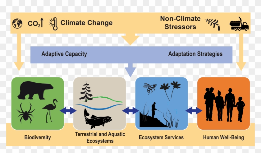Ecosystems, Ecosystem Services, And Biodiversity - Silhouette Ecosystem Clipart #3506200