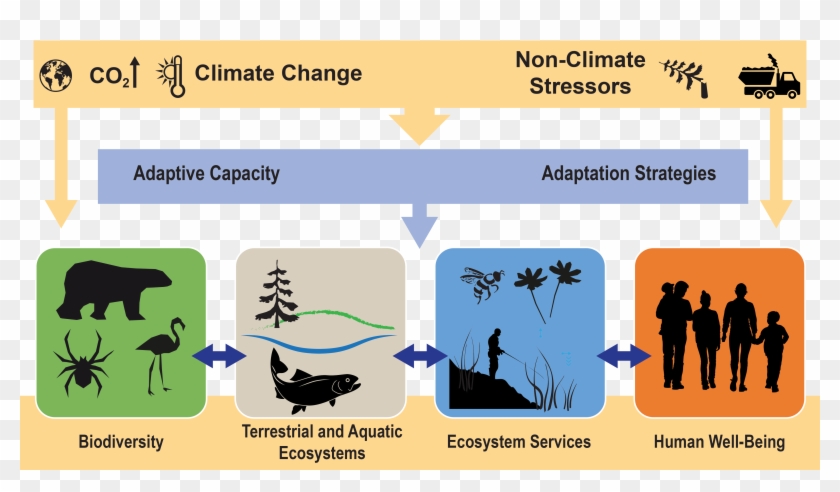 Ecosystems, Ecosystem Services, And Biodiversity - Silhouette Ecosystem Clipart