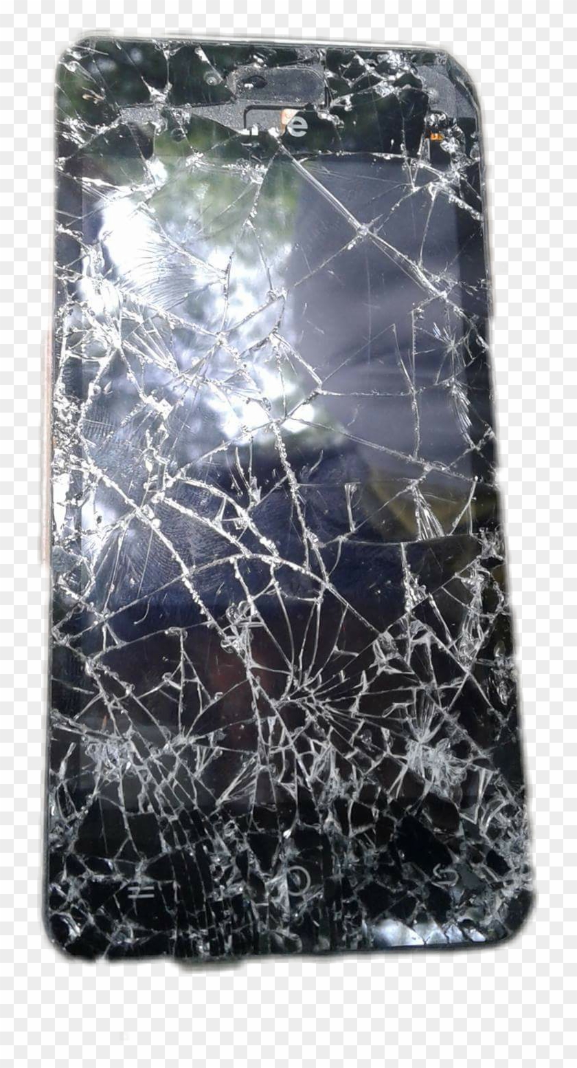 เนี่ยโทสับเพื่อนเรา Sticker - Spider Web Clipart