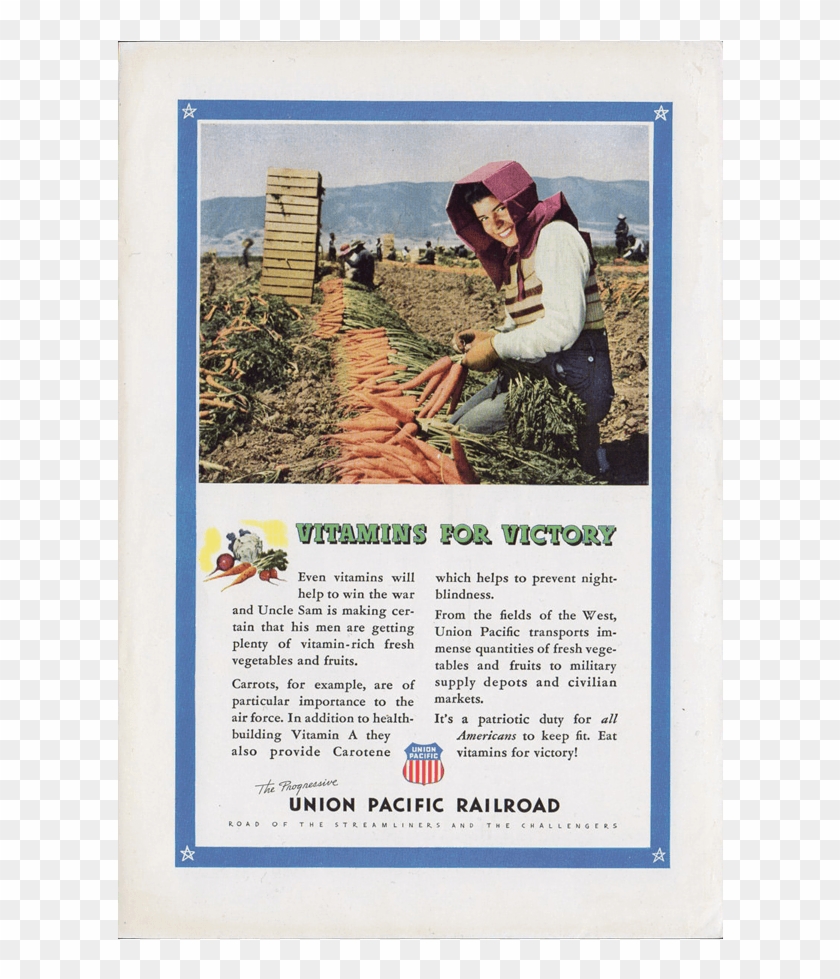 Union Pacific Railroad - Poster Clipart #3508021