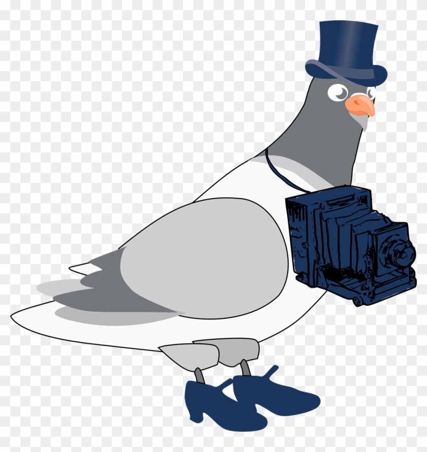 Pigeon Photographer Cartoon Png Image - Chim Bồ Câu Hoạt Hình Clipart