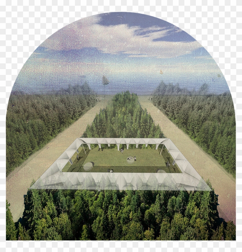 Overall View Of The Threshold Condition Of The Structure - Tree Clipart