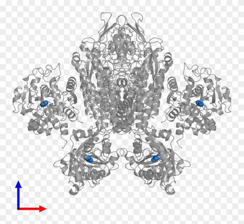 <div Class='caption-body'>pdb Entry 1suv Contains 4 - Opal Clipart