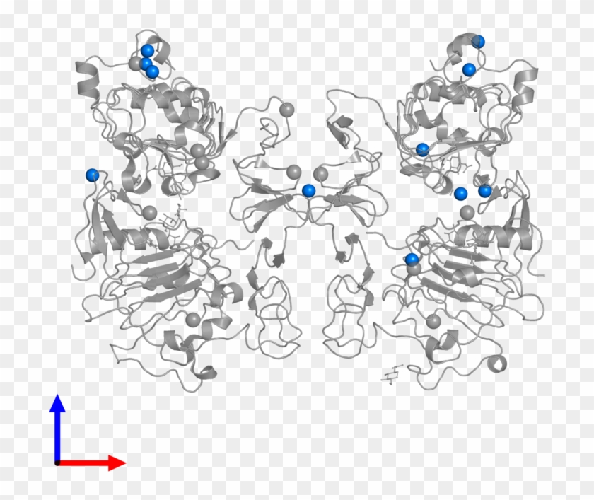 <div Class='caption-body'>pdb Entry 1mox Contains 11 - Cartoon Clipart
