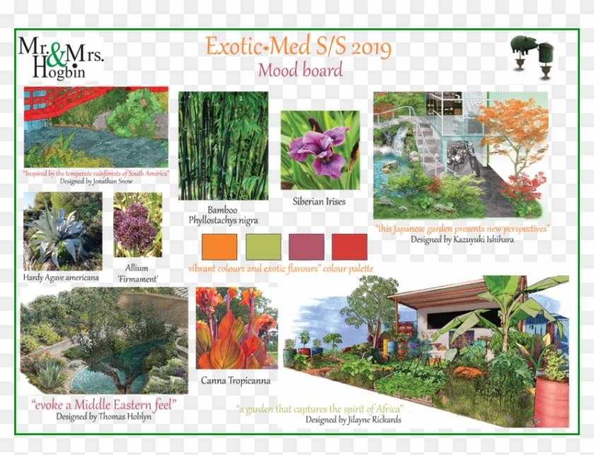 Exotic Plant Plan - Passion Flower Clipart #3510463