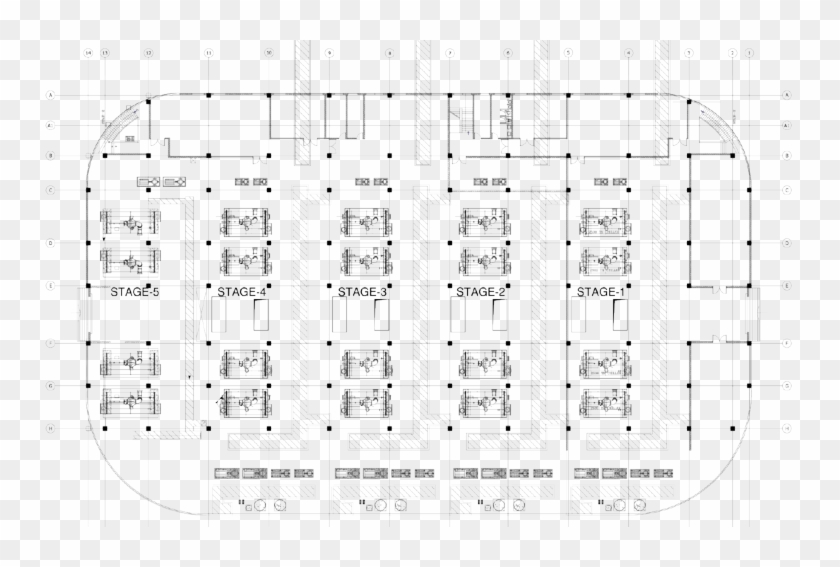 Figure 6 Shows The Phase Wise Development Of Dcp-1 - Plan Clipart #3510508