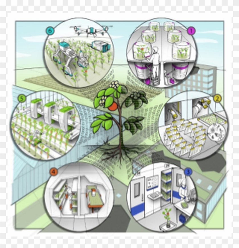 Netherlands Plant Eco-phenotyping Centre - Cartoon Clipart