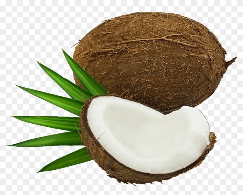 Coconut Clipart Cartoon - Jícama - Png Download