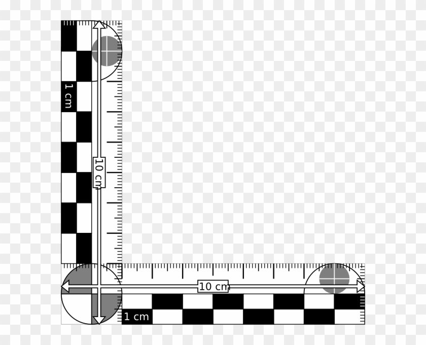 Small - Evidence Ruler Clipart #3511110