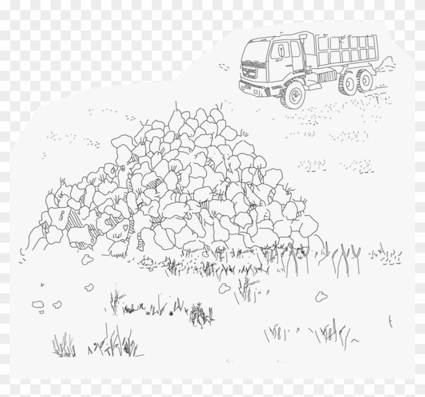 Piles Of Sugar Beets Waiting On The Fields, To Be Collected - Sketch Clipart #3511111