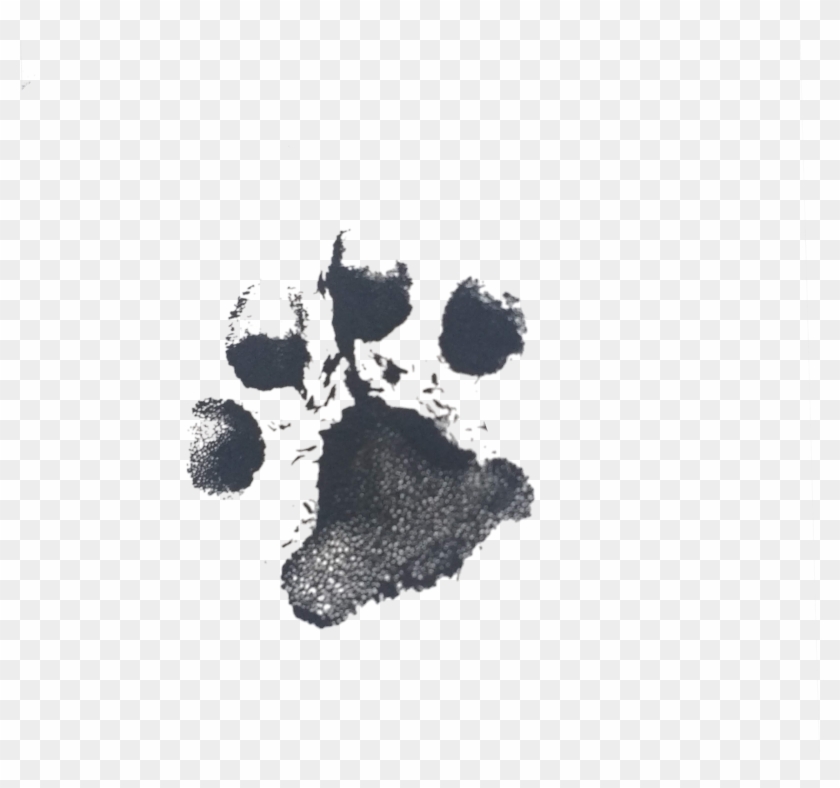 This Png Transforms Into - Tree Clipart #3512788