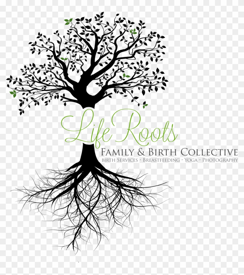 Life Collective - Tree With Roots Transparent Background Clipart #3513009