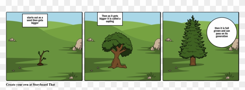 Sapling Vector Apple Seed - Storyboard On Plant A Tree Clipart