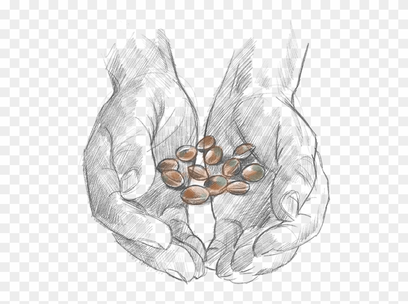 We're Growing Potential - Sketch Clipart #3513510