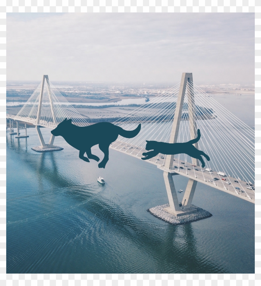Bridge The Gap - Unsplash Charleston Clipart #3513687