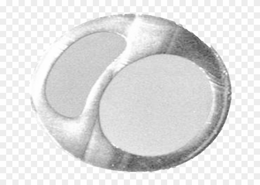 Mustang Pta Balloon Dilatation Catheter Shaft Construction - Circle Clipart #3514600