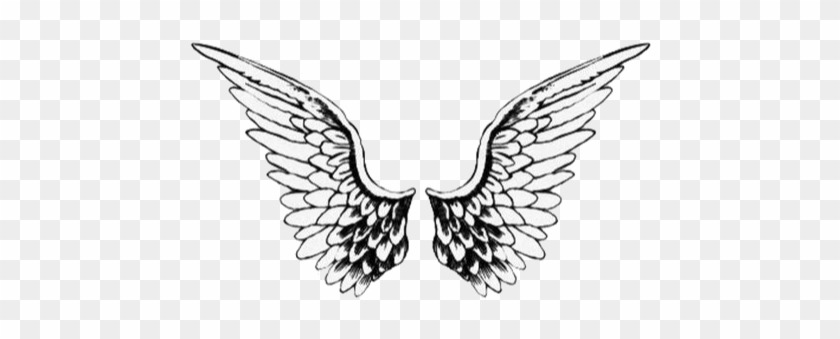 #kawaii #stickers #cute #sticker #chibi #adorable #png - Angel Wings Png Clipart