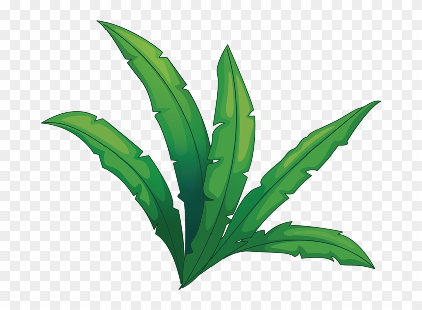 Stealth - Jungle Plant Transparent Clipart #3515035