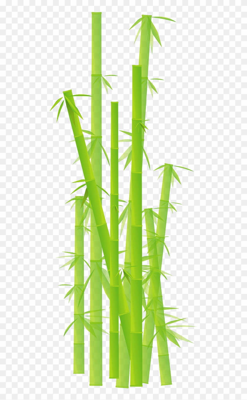 Bamboo Grass Jungle Leave Plant Png Image - Cartoon Bamboo Png Clipart #3515073
