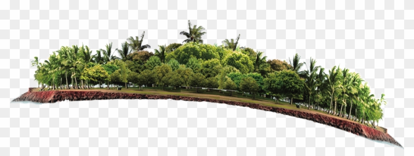 Transprent Png Free - Shrubs Plan Watercolor Psd Clipart #3515134