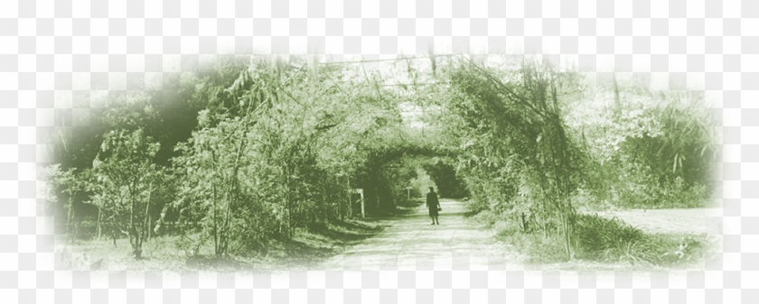 Contact Us - Grove Clipart #3515179