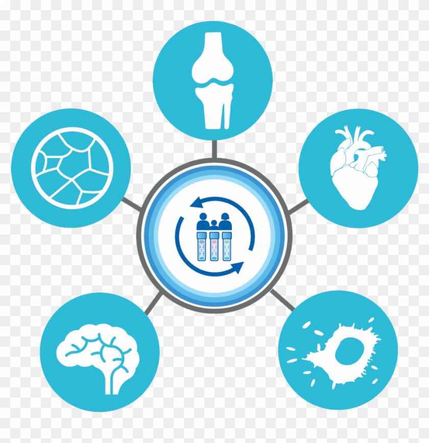 How To Tell If You Are Low In Magnesium, Ice Pick Headaches, - International Journal Of Medical Science And Clinical Clipart #3515524