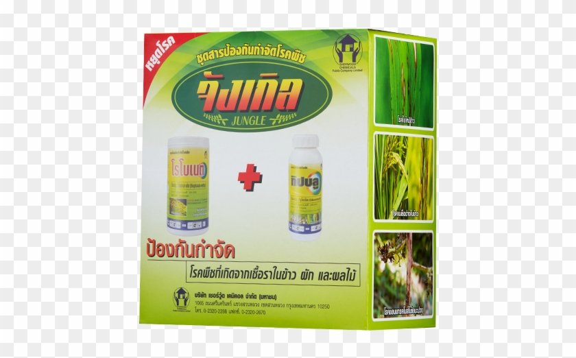 Product Name - Flyer Clipart