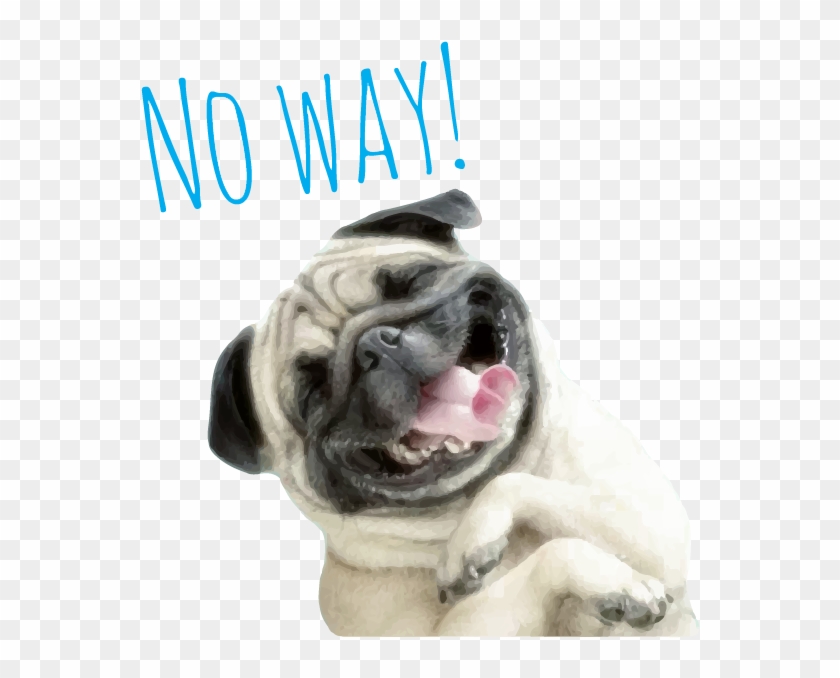 Pug Life Messages Sticker-0 - Pug Köpekleri Clipart